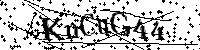 Por favor, introduzca las letras y los numeros de la imagen