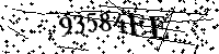 Por favor, introduzca las letras y los numeros de la imagen