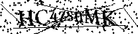 Por favor, introduzca las letras y los numeros de la imagen