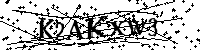 Por favor, introduzca las letras y los numeros de la imagen