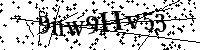 Por favor, introduzca las letras y los numeros de la imagen