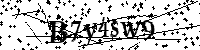 Por favor, introduzca las letras y los numeros de la imagen