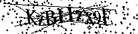 Por favor, introduzca las letras y los numeros de la imagen