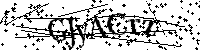 Por favor, introduzca las letras y los numeros de la imagen