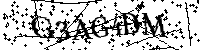 Por favor, introduzca las letras y los numeros de la imagen