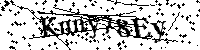 Por favor, introduzca las letras y los numeros de la imagen