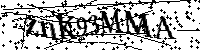 Por favor, introduzca las letras y los numeros de la imagen