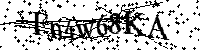 Por favor, introduzca las letras y los numeros de la imagen