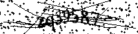 Por favor, introduzca las letras y los numeros de la imagen