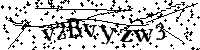 Por favor, introduzca las letras y los numeros de la imagen