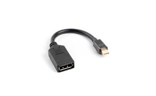 ADAPTADOR LANBERG DISPLAYPORT MINI MACHO A DISPLAYPORT HEMBRA CABLE 10 CM NEGRO