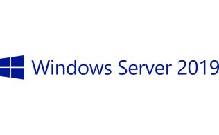 LICENCIA HPE MS MS19 5DEV CAL EMEA LTU