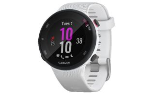 SMARTWATCH GARMIN FORERUNNER 45S / BLANCO