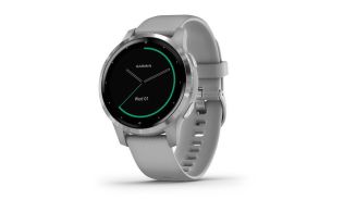 SMARTWATCH GARMIN VIVOACTIVE 4S CRIS