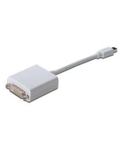 CONVERSOR DIGITUS DisplayPort mini DP - DVI (24+5) M/H 0,15m DP 1.1a CE we