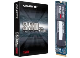 SSD GIGABYTE 256GB NVME M.2 PCIE X2